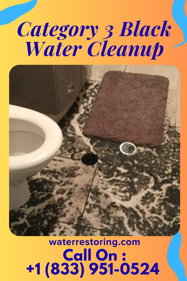 Category 3 Black Water Cleanup in Puhi, HI