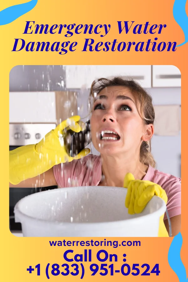 Emergency Water Damage Restoration in Puhi, HI