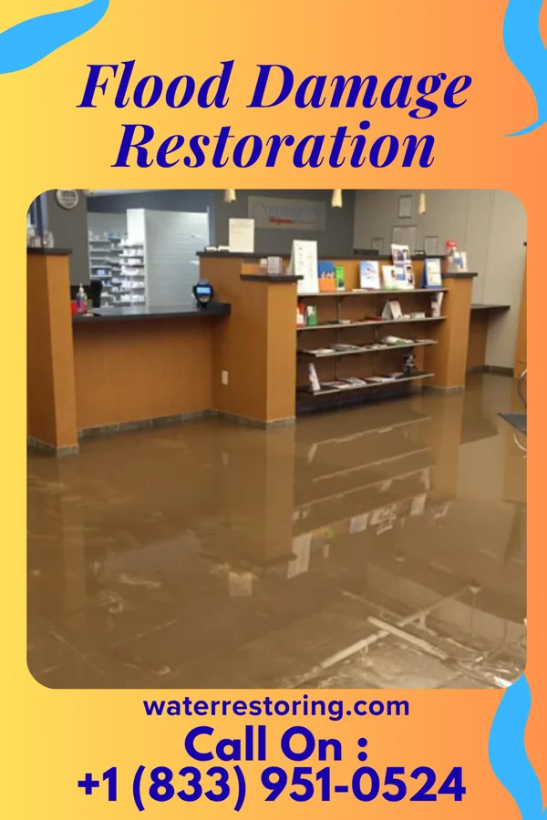 Flood Damage Restoration in Puhi, HI