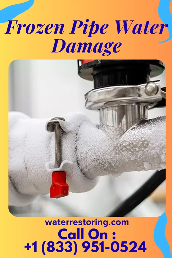 Frozen Pipe Water Damage in Puhi, HI