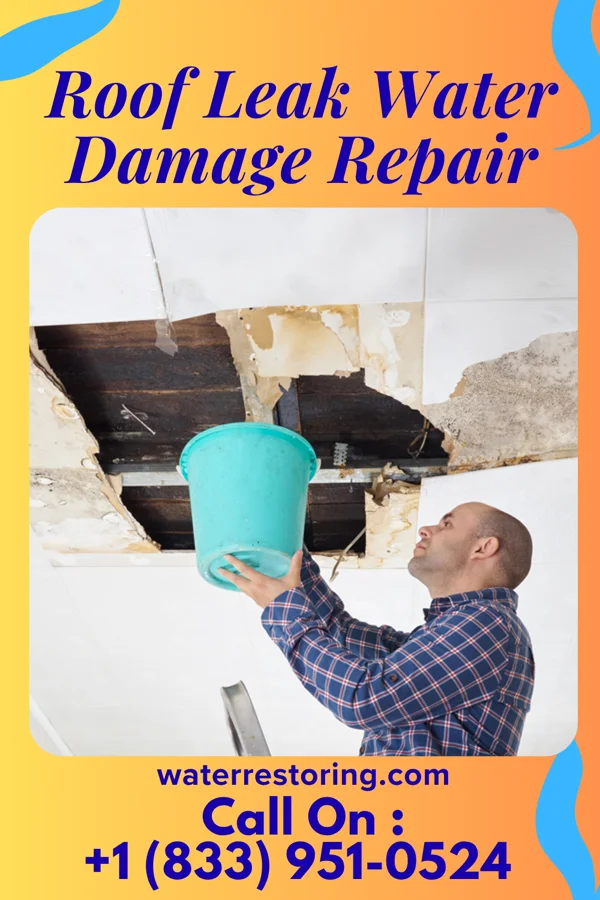 Roof Leak Water Damage Repair in Puhi, HI